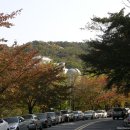 서울대학교 탐방기3