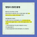 대포홀덤