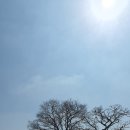 설록원 - 경주시 중앙로34번길 7 | 설록원