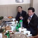 춘양초등학교 Daum카페