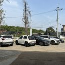 행복하게 해줄개 이미지