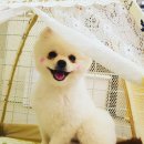 잇츠 소미 스타일 이미지