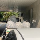 잠실4동 주민센터 이미지