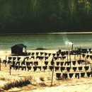 아름다운시절 이미지