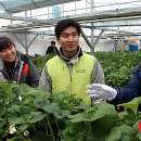 유영수 농장 이미지