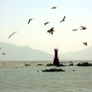반도레포츠 이미지