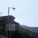옛골집 Daum카페