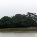 위멍애섬