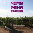 노브랜드 강남 삼성점