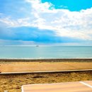 전촌솔밭해수욕장 이미지