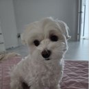 블리비의원 이미지