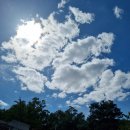 해마루공원로-26 이미지