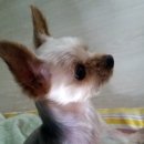 모아아파트 이미지