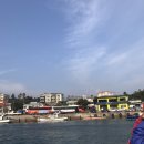 돼지민박 이미지