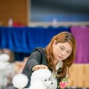 국제애견 이미지