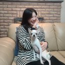 2번째 봄 🌸 [4월에 눈이오고 강풍주의보 재난문자가 오며,전기장판 틀고 자지만 행복한 daily 및 베프...