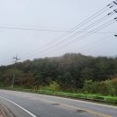 자등 3리 이미지