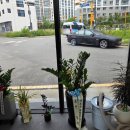 새로나세차장 이미지