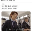 숨냥이의 하류~ ＾＾ ☆