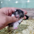 (주)폴리모프 이미지