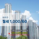 나무공인중개사사무소 이미지