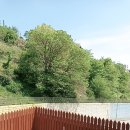 스테이 무코 이미지