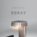 레이 펫 이미지