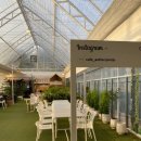 광이농장 | 에테르 식물농장🌿