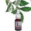 자동차 오일 세상 이미지