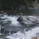 그린산장 이미지