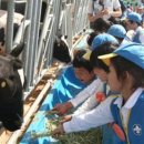 문암목장 이미지