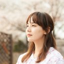 유진상조 Daum카페