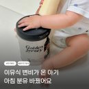 골든아이 | 이유식 변비로 다시 찾은 아이배냇 골든저지분유 A2 단백질 분유 후기