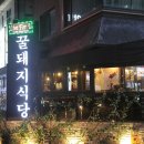 원대꿀돼지