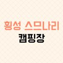 횡성 별빛마을 캠핑장 | 횡성 신생 스므나리 캠핑장 찐 후기(feat. 애견 동반)