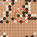 신의한수