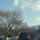 산내별빛오토캠핑장 이미지