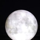 징기스 부평점 이미지