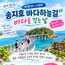 10월15일 목요일 고성 단풍구경겸 송지호 트레킹갑니다 ~~ 이미지