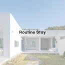 강릉스테이(STAY) 이미지