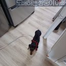 주공2차A 이미지