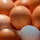 근자농장 이미지