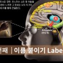 두려움을 용기로 바꾸는 마음의 연금술 이미지