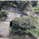 제주 일출봉 해안 일제동굴진지 이미지