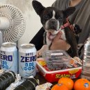 스테이태봉 이미지