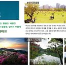 현진마트 이미지