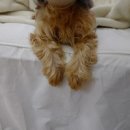 삶의 이야기가 있는 집 이미지