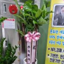 알로와경매학원 | 성남경매학원 알로와경매학원 성남점과 함께하세요