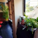 소노스시 이미지