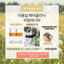 샵플렉스헤어